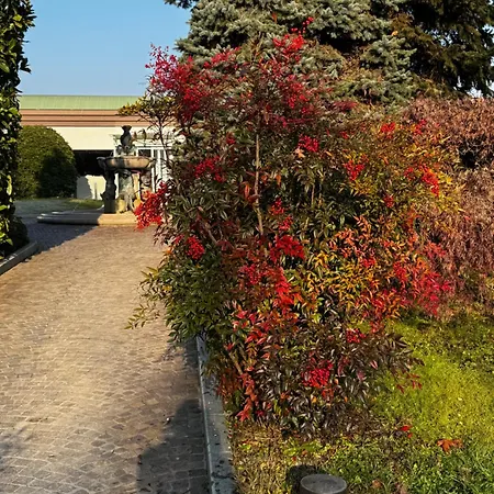 Hotel Parco Sassi 3*