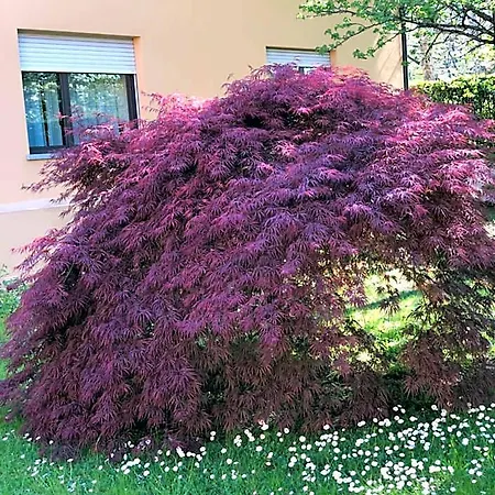 Parco Sassi Hotel Turin