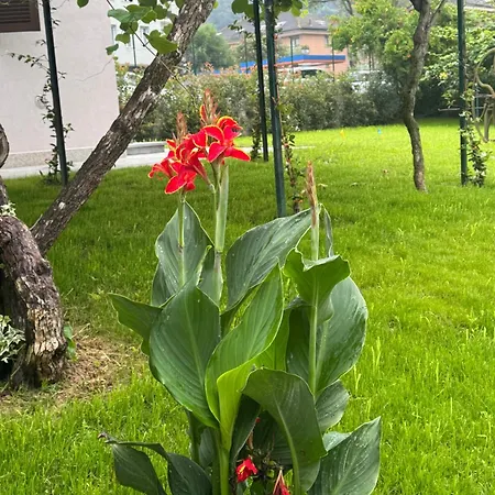 Parco Sassi 3* Турин