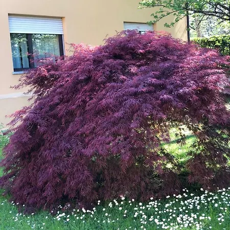 Parco Sassi Hotel