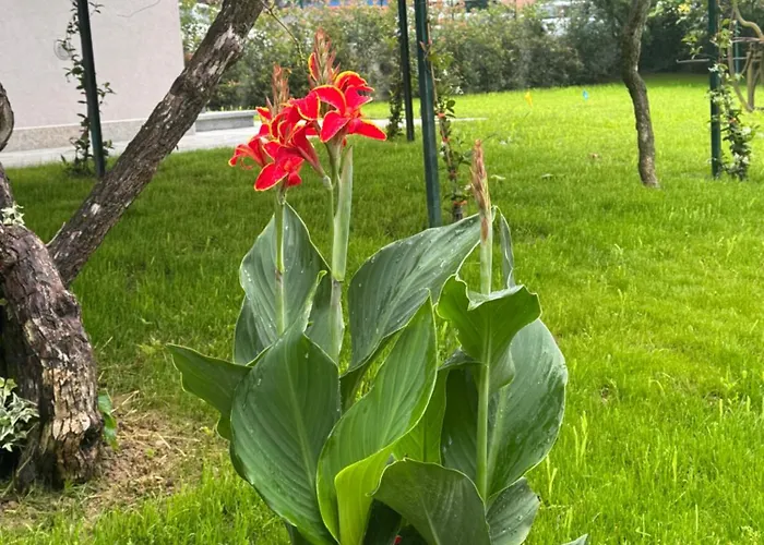 Parco Sassi 3* Turin